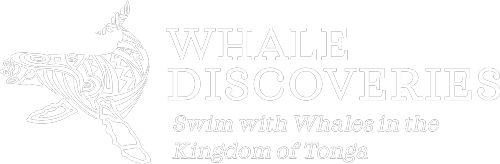 Whale Discoveries Brand Whitelong